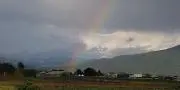 うさママの画像