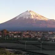 南国の画像