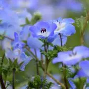 hrk_12の画像