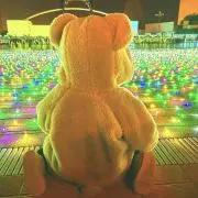 みかんの画像