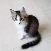 ふわり　プロフィール必読‼