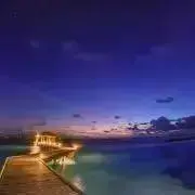 ぽち（購入前プロフ必読）の画像