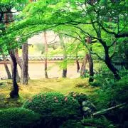 plantsの画像