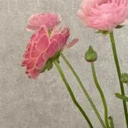 m.naの画像