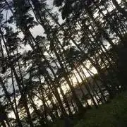 ぷー。