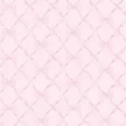 おもちの画像