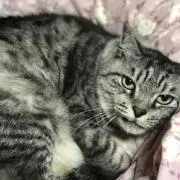 ハッピー