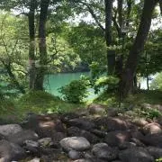 たく