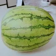 かしゅ*プロフ必読の画像