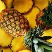 Pineappleの画像