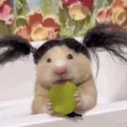 mmm96の画像