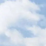 TOMの画像