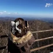 ゆの画像