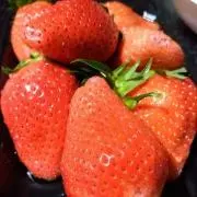 すずの画像