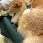 tan02の画像