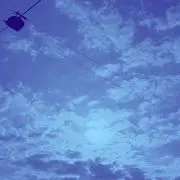 白瀬の画像