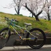 ゆりえってぃの画像