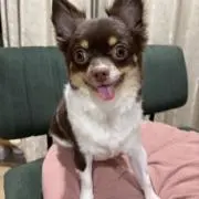 kumiの画像