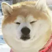 Nの画像