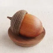 Image of どんぐり