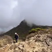 かぁーこの画像