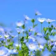 Kの画像