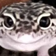 ダニエル