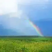 ジジの画像