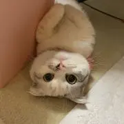 しーちゃん