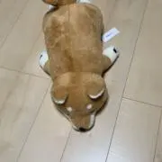 poko