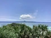 Chestnutの画像