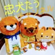 忠犬wたうの画像