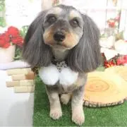 ひとみん