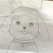 こんぶの画像