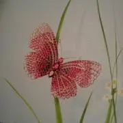 Ruru
