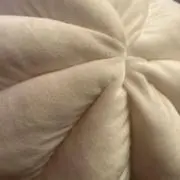 あやの画像