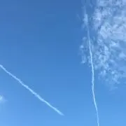 しゅうとの画像