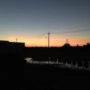 ナオの画像
