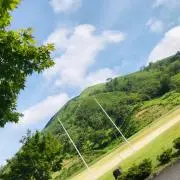 いちごの画像
