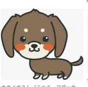 cocoの画像