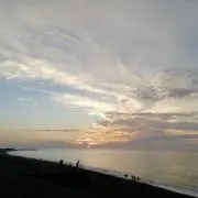 B Lの画像