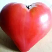 まさむにゃ