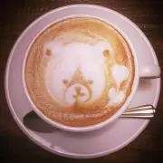 polkaの画像