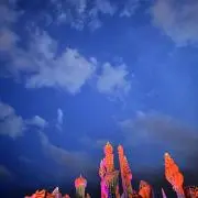 みんたん 断捨離中 おまとめ大歓迎の画像