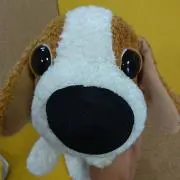 うえっちの画像