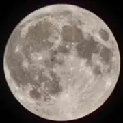 エルフェの画像