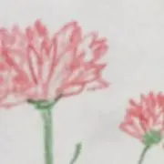 デブリンの画像
