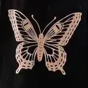 たこぴー　プロフ確認お願いしますの画像
