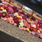 mahomaho