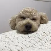 かっちゃん